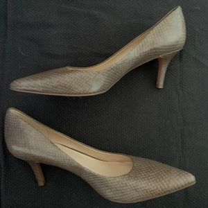 New Steve Madden snake skin kitten heels